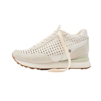 Gioseppo cod 8124